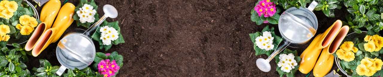 Аптечка для дачи