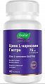 Купить цинк l-карнозин гастро, капсулы 60 шт бад в Ваде