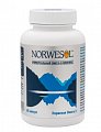 Купить норвесол омега 3, капсулы 500мг 60 шт. бад в Ваде