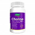 Купить холин 350мг, таблетки массой 1200мг 60 шт бад в Ваде