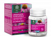 Купить эхинацея пурпурная с витаминами с и е экстракт вис, капсулы массой 350мг, 30 шт бад в Ваде