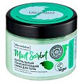 Купить натура сиберика skin evolution скраб для тела тонизирующий mint sorbet, 400 г в Ваде