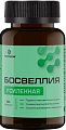 Купить босвеллия усиленная летофарм, капсулы 0,63г банка 60шт бад в Ваде