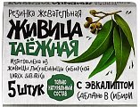 Купить живица таежная, жевательная резинка с эвкалиптом, 5 шт в Ваде