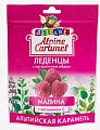 Купить alpine caramel (альпийская карамель) леденцы детские малина с медом и витамином с , 75г бад в Ваде