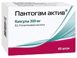 Купить пантогам актив, капсулы 300мг, 60 шт в Ваде