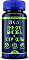 Купить gls (глс) гинкго билоба+готу кола, капсулы массой 380мг, 90шт бад в Ваде