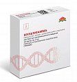 Купить мультигамма, раствор для внутримышечного введения, ампулы 2мл 10 шт в Ваде