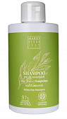 Купить mario fissi (марио фисси) 1937 шампунь для волос восстановление баланса с маслами чайного дерева и грейпфрута, 300мл в Ваде